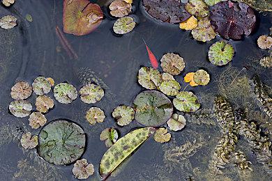 《无主之地4》发售一个月后 Steam玩家流失85%